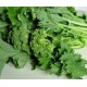 Semi di broccolo cima di rapa pugliese