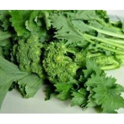 Apulian turnip green seeds