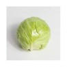 Delicate Round Cabbage Seeds