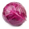 Primero Red cabbage seeds