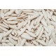 Regina pickled cucumber seeds