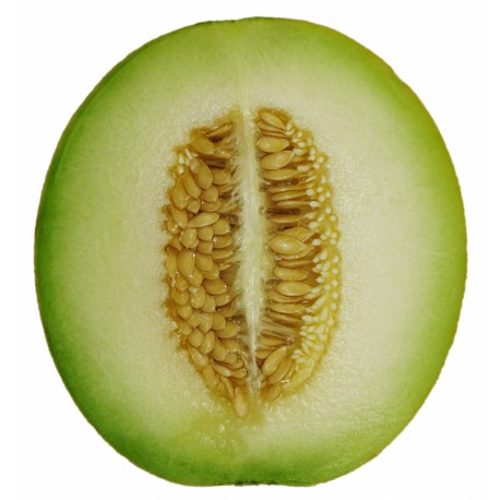 Barattiere Melon cucumber seeds