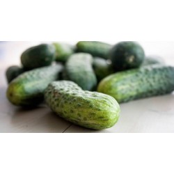 Snack pickled cucumber seeds