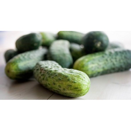 Snack pickled cucumber seeds