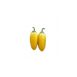 Dried Jalapeno yellow