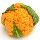 Orange cauliflower seeds