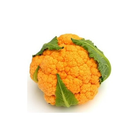 Orange cauliflower seeds