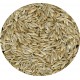 Verdunna Cabbage lettuce seeds