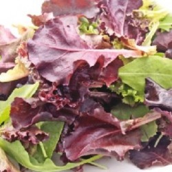 Mixed cut lettuce seeds