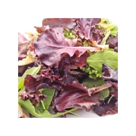 Mixed cut lettuce seeds