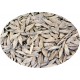 Mortadella di primavera lettuce seeds