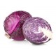 "Redjewel" red cabbage seeds