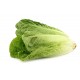 Duna roman lettuce seeds