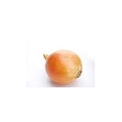 Pandora Golden Onion Seeds