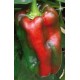 Alceo elongated red pepper seeds