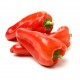 Red Carpet elongated red pepper seeds