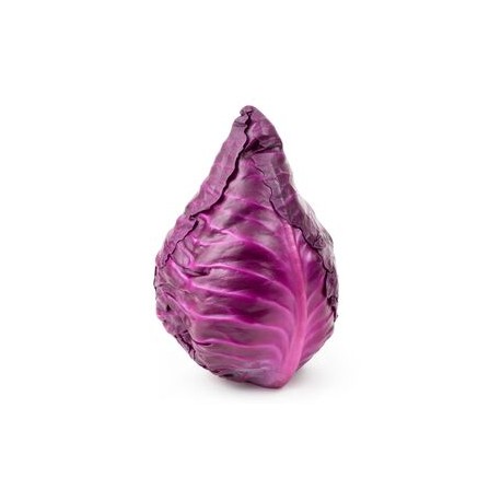 "Kalibos" heart-shaped cabbage seeds