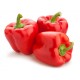 Red Cuneo pepper seeds