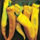 Yellow Bull's Horn Pepper Seeds