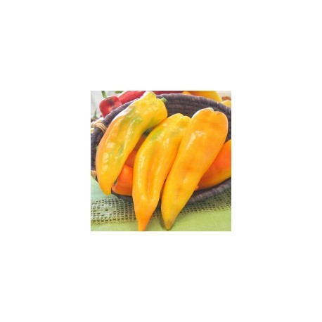 Yellow Ringo Bull Horn pepper seeds