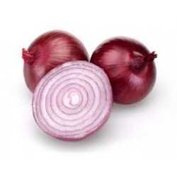 Savona Red Onion Seeds