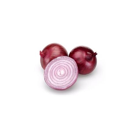Savona Red Onion Seeds