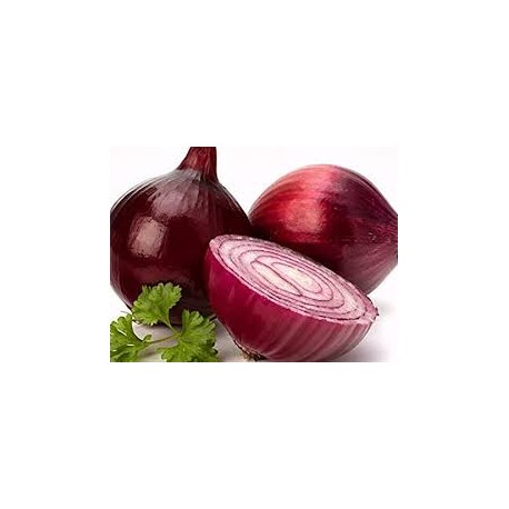 Round Red Tropea Onion Seeds