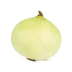 Musona White Onion Seeds