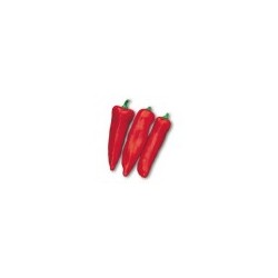 Diablo Red Bull Horn pepper seeds