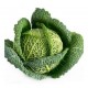 "Emerald" savoy cabbage seeds