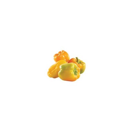 Costadoro yellow pepper seeds