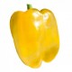 Ideal yellow pepper seeds