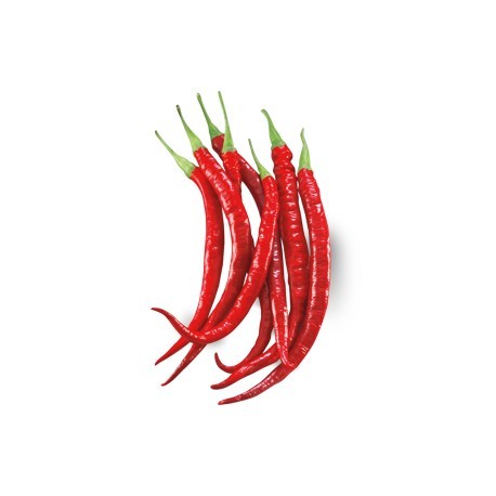 Cayenne hot elongated pepper seeds