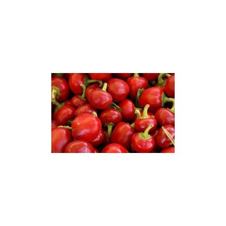 Hot round cherry pepper seeds