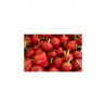 Round Cherry Chili Pepper Seeds