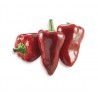 Pizzotello Beneventano Pepper Seeds