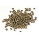 Tundra savoy cabbage seeds