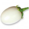 Clara white oval eggplant seeds