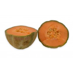 Semi melone sugar