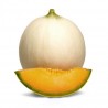 Semi di melone liscio honey moon