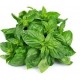 Genovese Basil Seeds