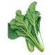 Swiss Chard Seeds