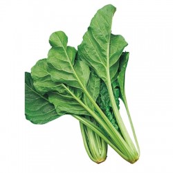 Swiss Chard Seeds