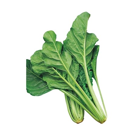 Swiss Chard Seeds