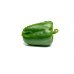 Casanova green squared pepper seeds