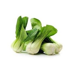 Semi di cavolo Pak Choi