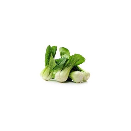 Semi di cavolo Pak Choi