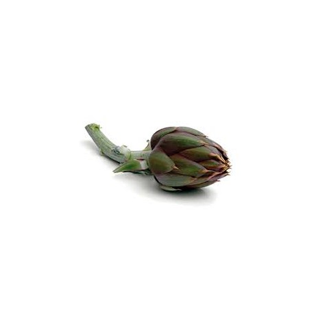 Sardinian Artichoke Seeds