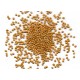 Alberello light cougette seeds