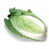 Yuki Chinese cabbage seeds